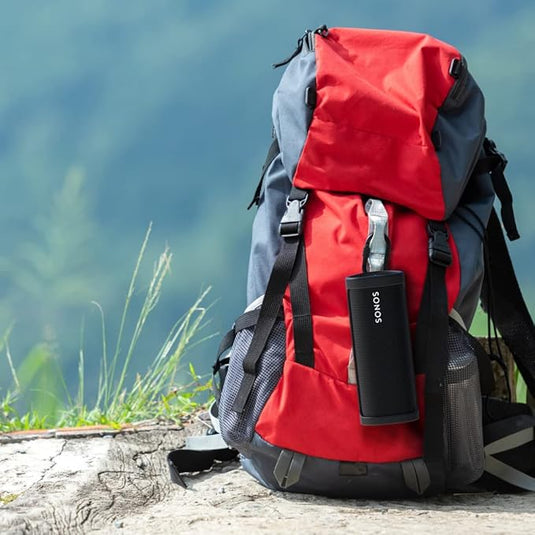 Flexson Funda de Viaje para Sonos Roam – Protección y Portabilidad en Negro