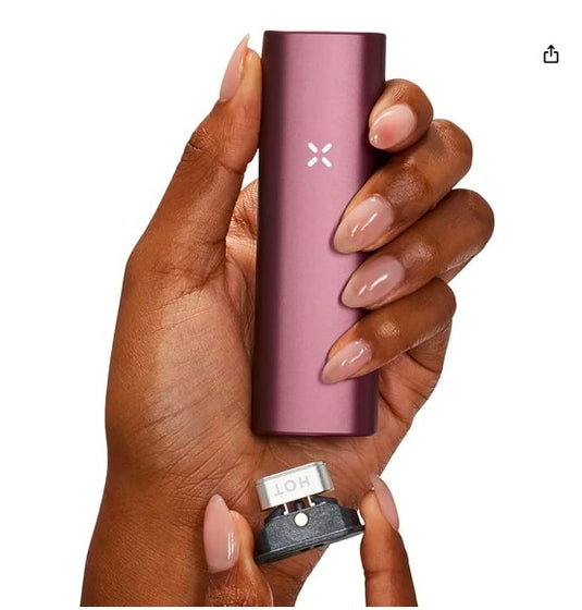 Vaporizador PAX Plus LTO Expand Kit – Color Elderberry